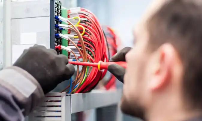electrician Rice